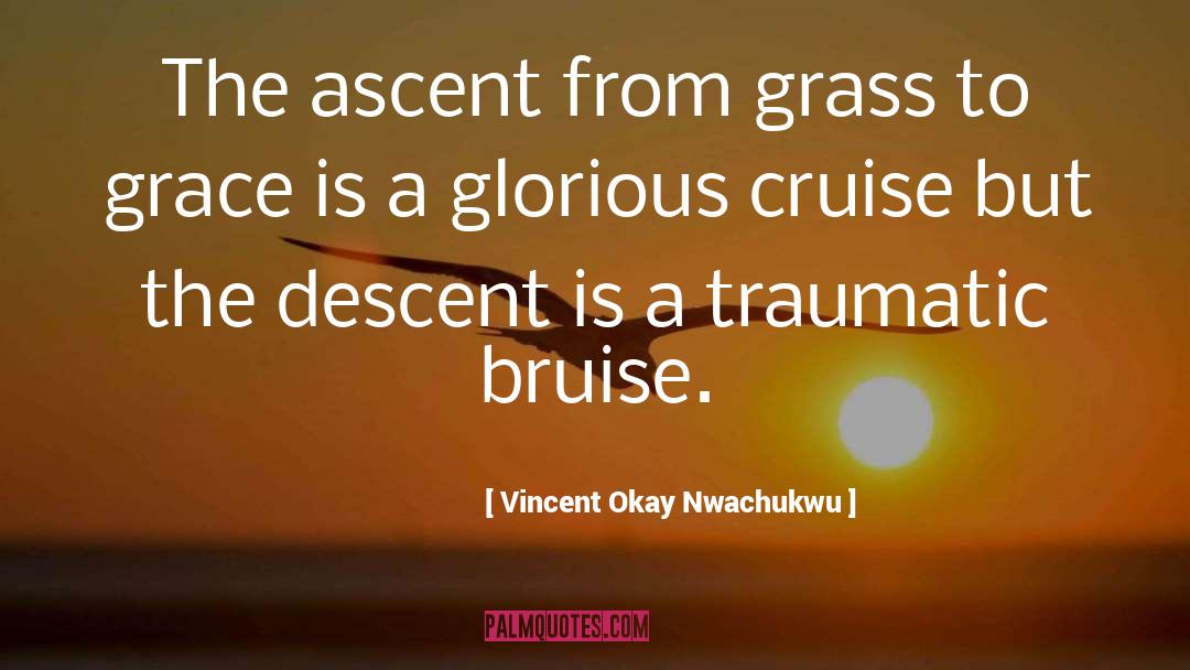 Vincent Okay Nwachukwu Quotes: The ascent from grass to