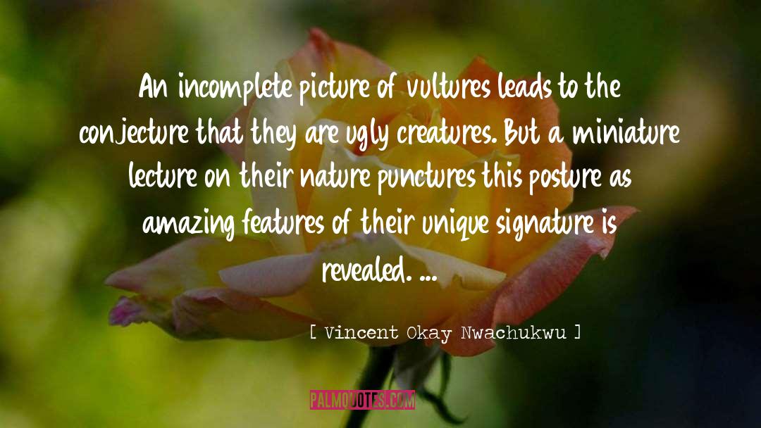 Vincent Okay Nwachukwu Quotes: An incomplete picture of vultures