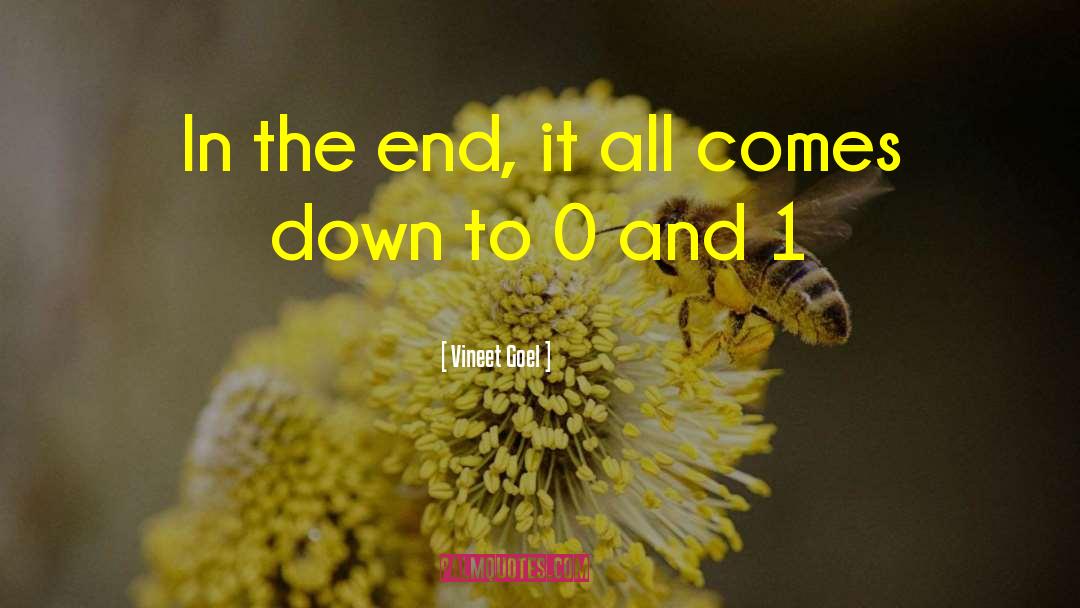 Vineet Goel Quotes: In the end, it all