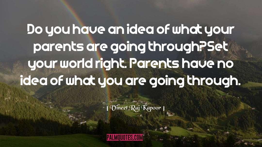 Vineet Raj Kapoor Quotes: Do you have an idea