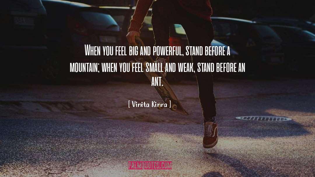 Vinita Kinra Quotes: When you feel big and