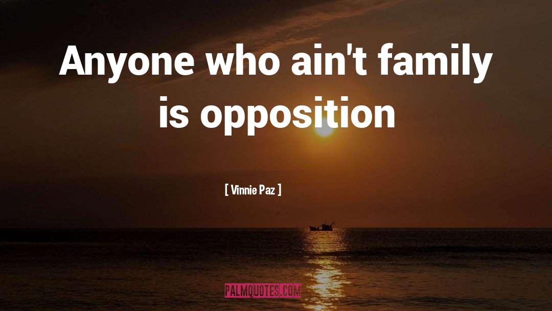 Vinnie Paz Quotes: Anyone who ain't family is