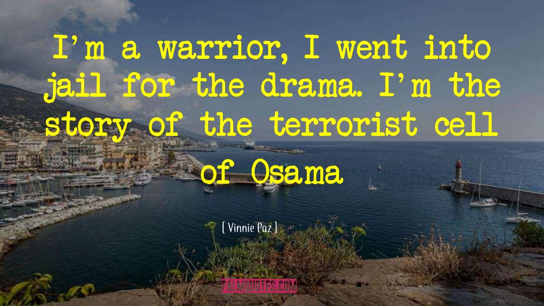 Vinnie Paz Quotes: I'm a warrior, I went