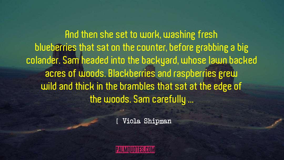 Viola Shipman Quotes: And then she set to