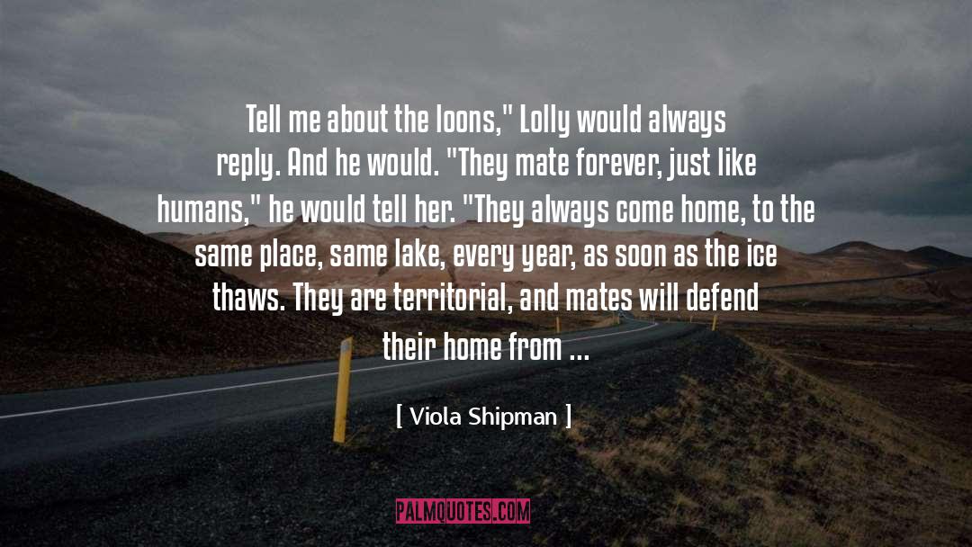 Viola Shipman Quotes: Tell me about the loons,