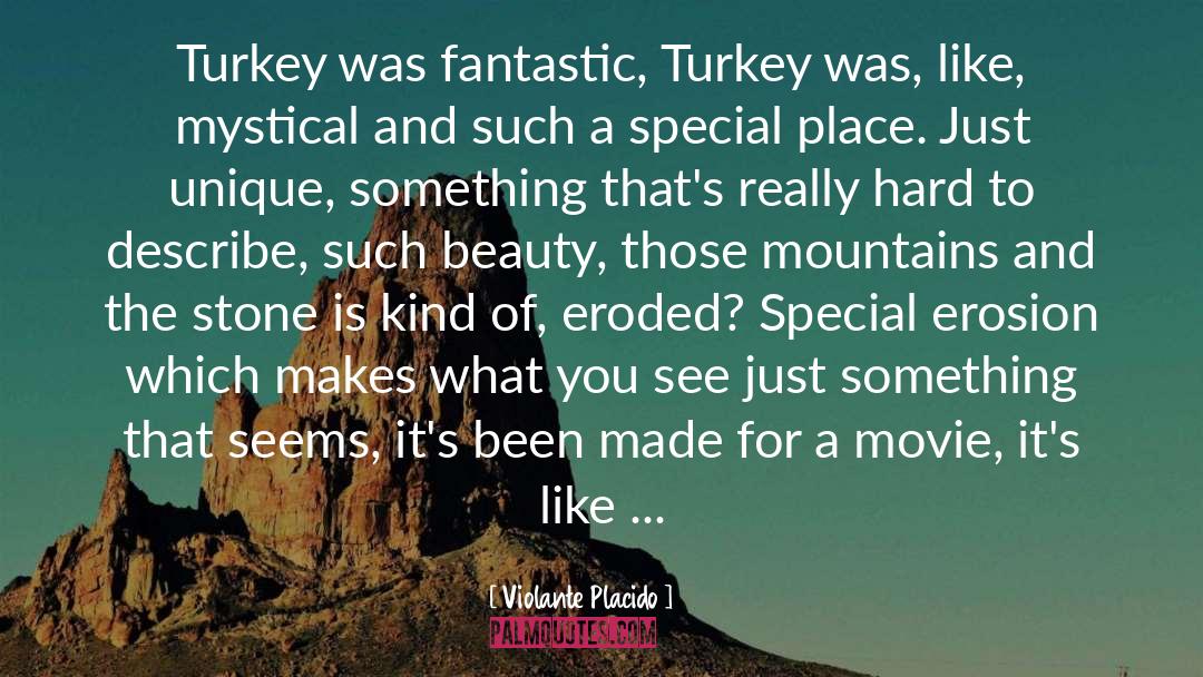 Violante Placido Quotes: Turkey was fantastic, Turkey was,