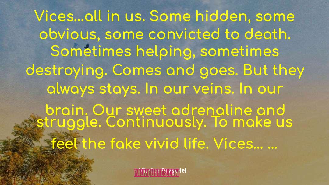 Viorica Dragotel Quotes: Vices...all in us. Some hidden,