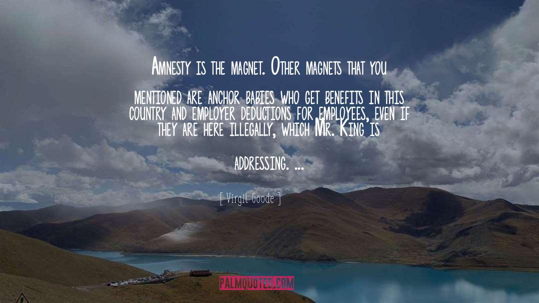 Virgil Goode Quotes: Amnesty is the magnet. Other