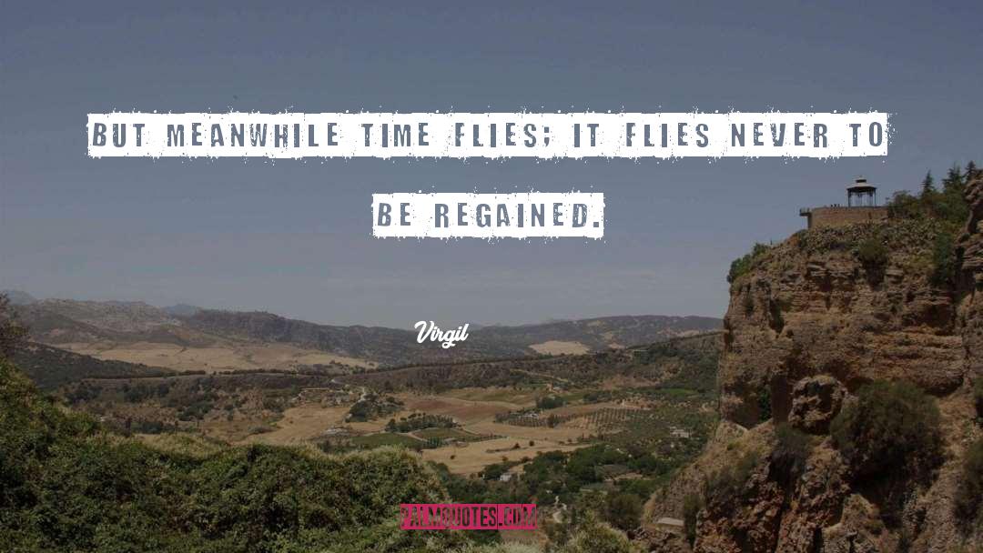 Virgil Quotes: But meanwhile time flies; it