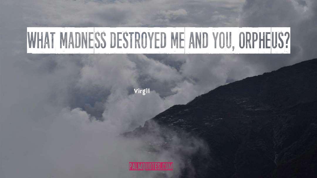 Virgil Quotes: What madness destroyed me and