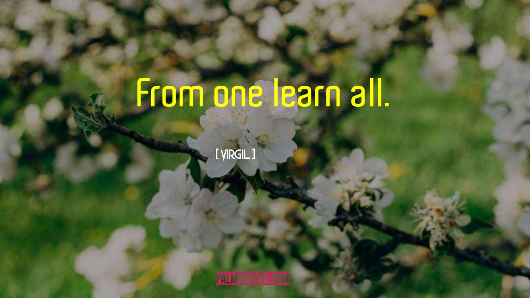 Virgil Quotes: From one learn all.