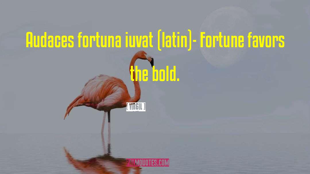 Virgil Quotes: Audaces fortuna iuvat (latin)- Fortune