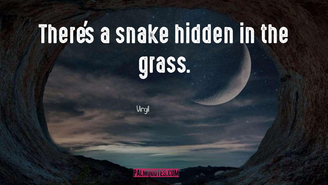 Virgil Quotes: There's a snake hidden in
