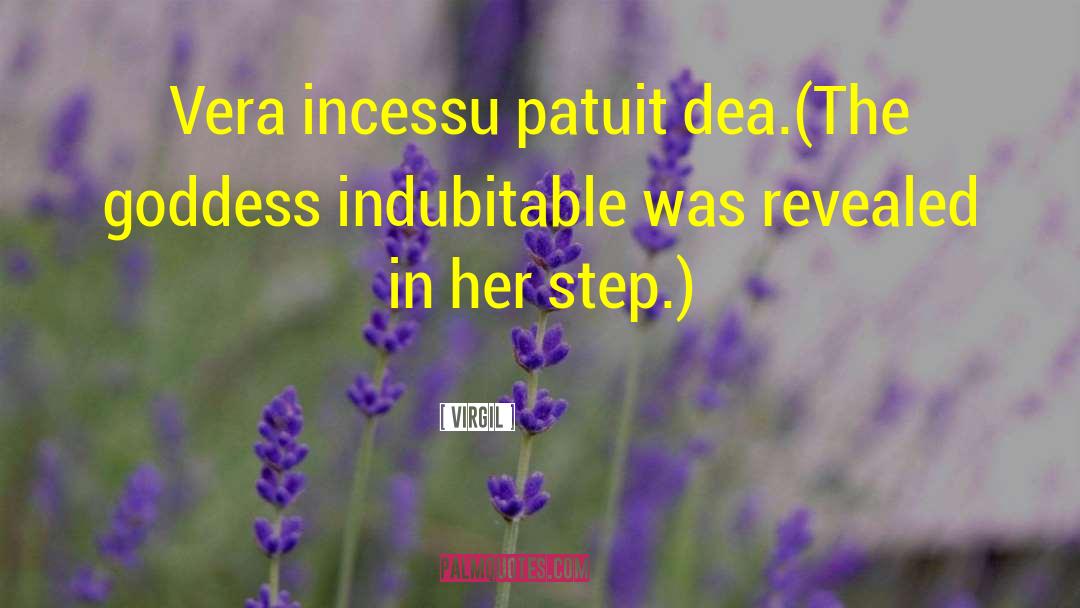 Virgil Quotes: Vera incessu patuit dea.<br>(The goddess