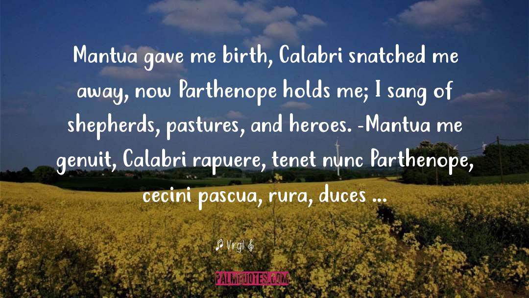 Virgil Quotes: Mantua gave me birth, Calabri