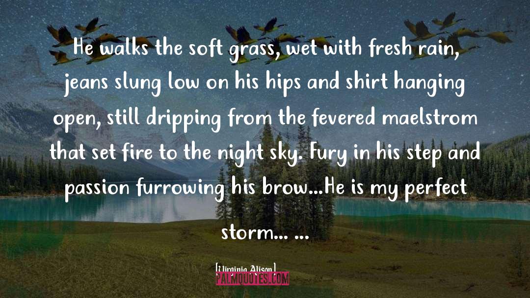 Virginia Alison Quotes: He walks the soft grass,