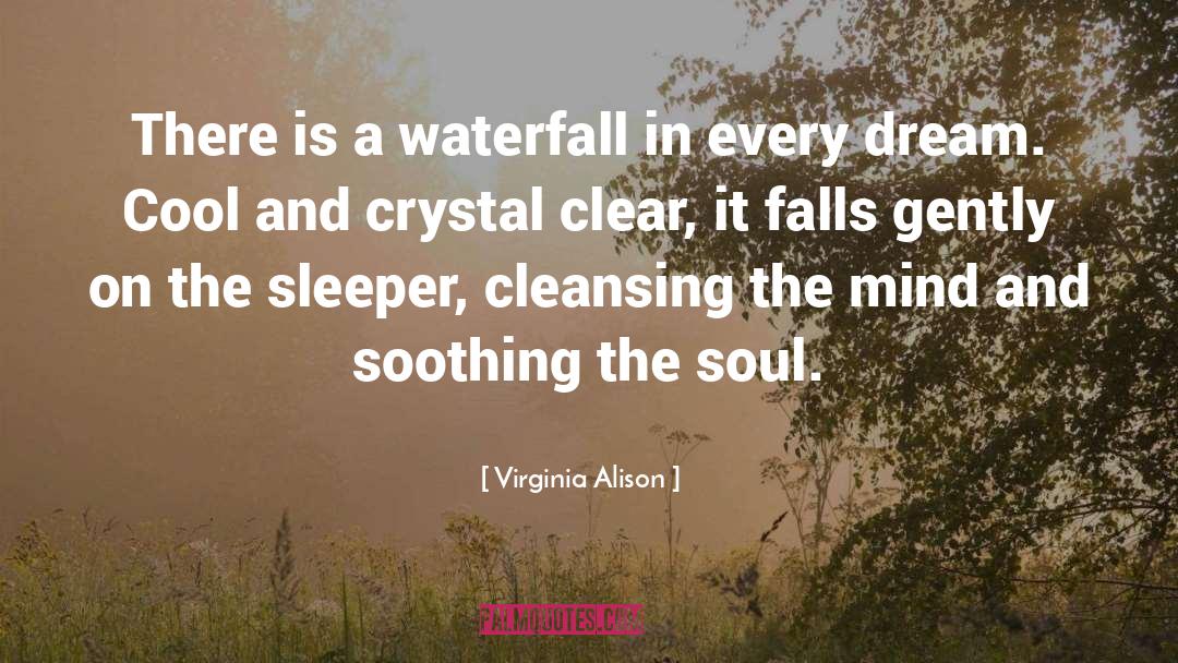 Virginia Alison Quotes: There is a waterfall in