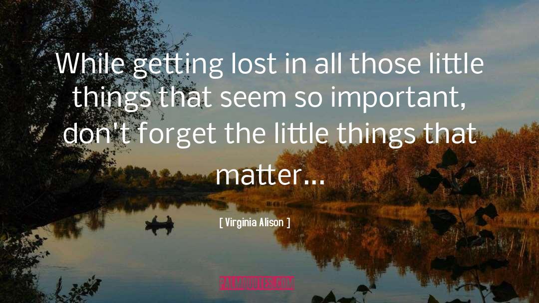 Virginia Alison Quotes: While getting lost in all