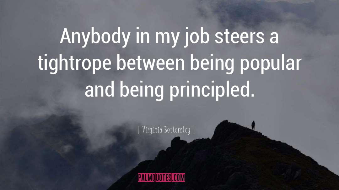 Virginia Bottomley Quotes: Anybody in my job steers