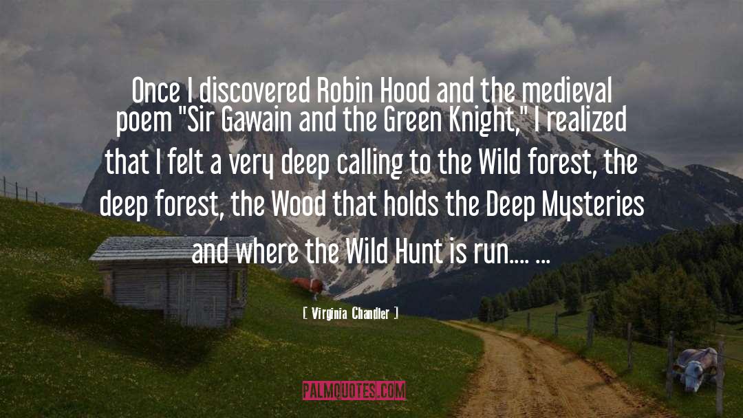 Virginia Chandler Quotes: Once I discovered Robin Hood