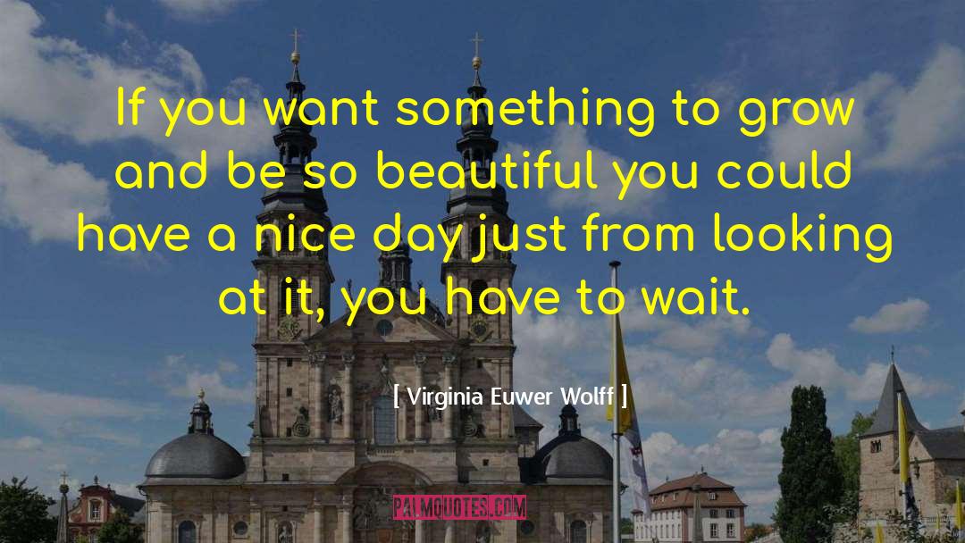 Virginia Euwer Wolff Quotes: If you want something to
