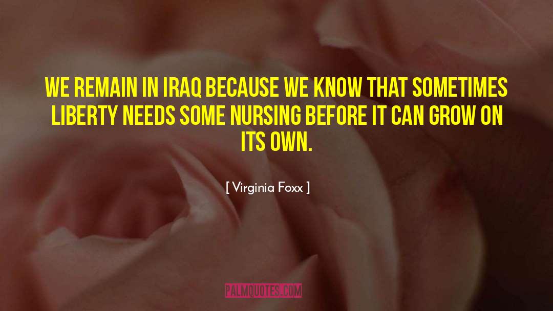 Virginia Foxx Quotes: We remain in Iraq because