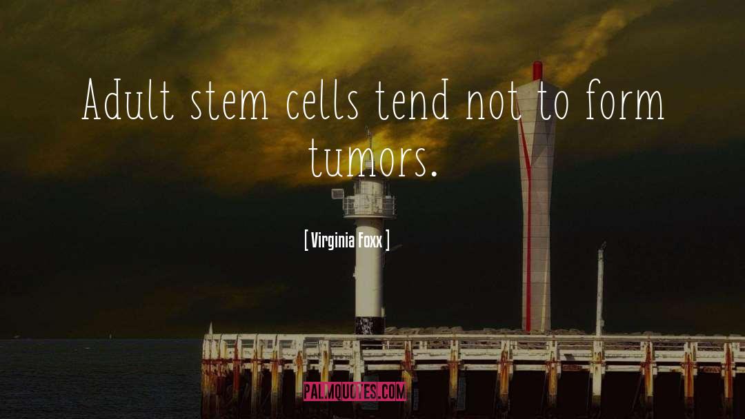 Virginia Foxx Quotes: Adult stem cells tend not