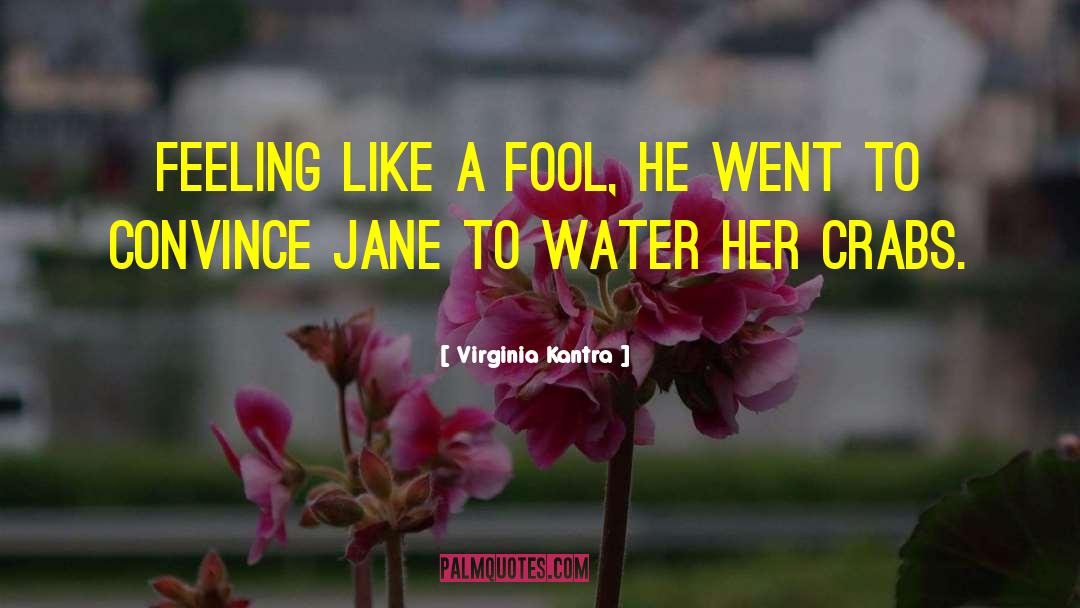 Virginia Kantra Quotes: Feeling like a fool, he