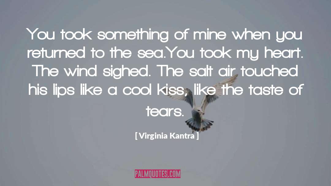 Virginia Kantra Quotes: You took something of mine