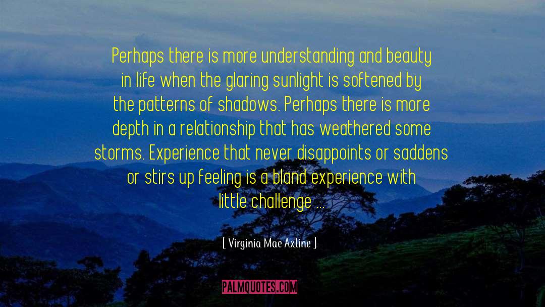 Virginia Mae Axline Quotes: Perhaps there is more understanding