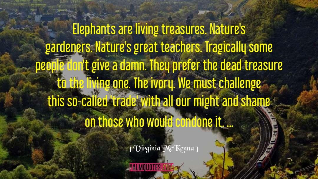 Virginia McKenna Quotes: Elephants are living treasures. Nature's