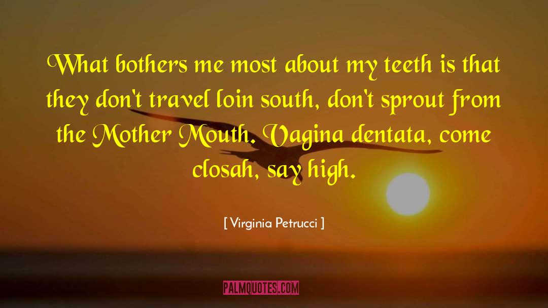 Virginia Petrucci Quotes: What bothers me most about