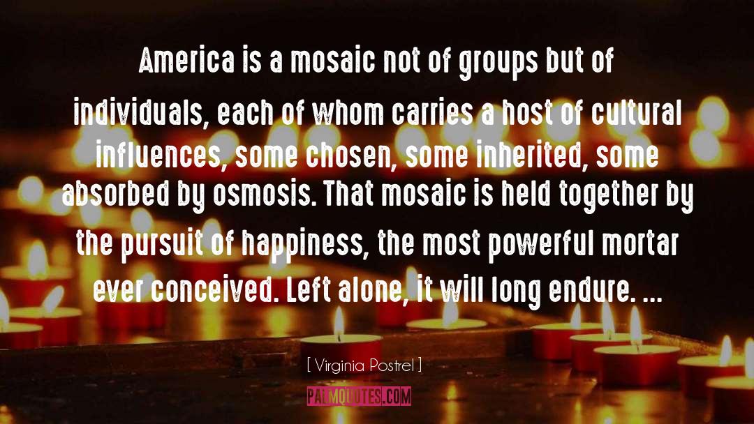 Virginia Postrel Quotes: America is a mosaic not
