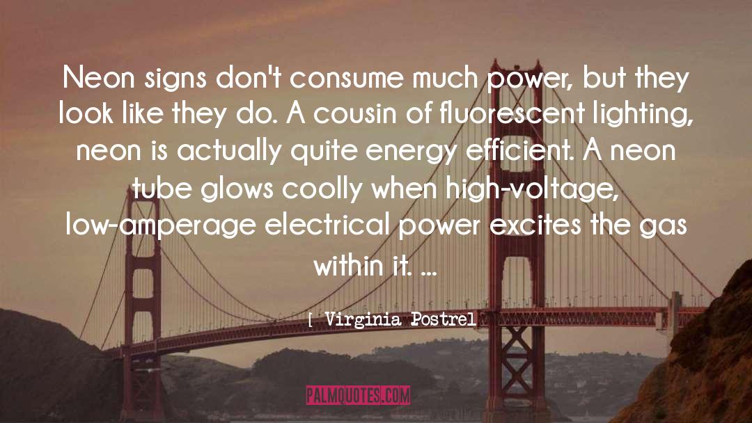 Virginia Postrel Quotes: Neon signs don't consume much
