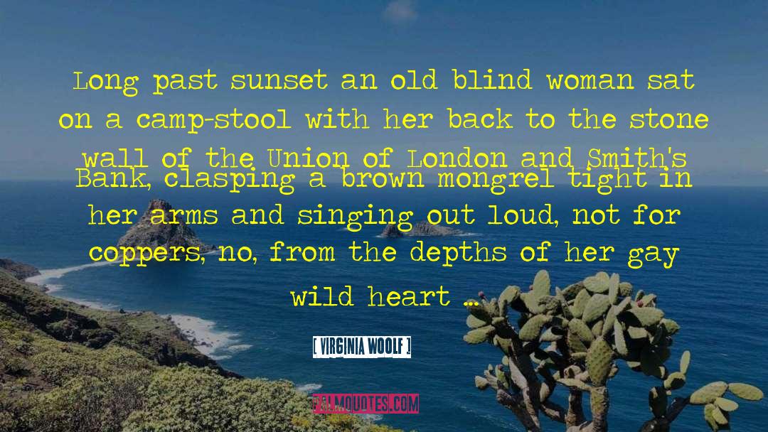 Virginia Woolf Quotes: Long past sunset an old