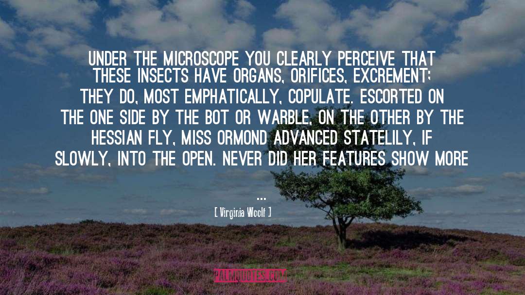 Virginia Woolf Quotes: Under the microscope you clearly