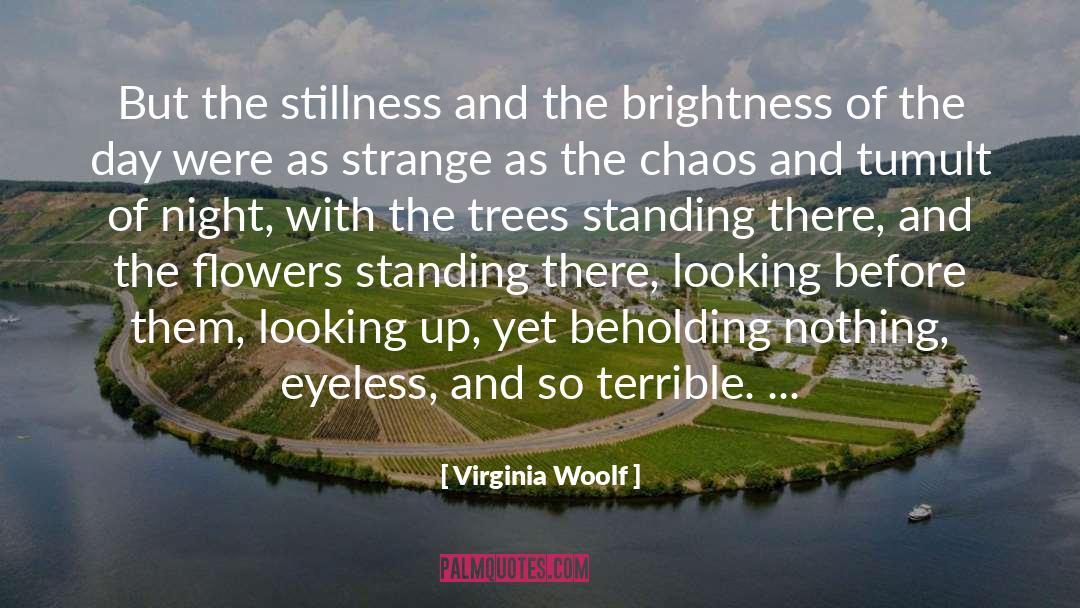 Virginia Woolf Quotes: But the stillness and the