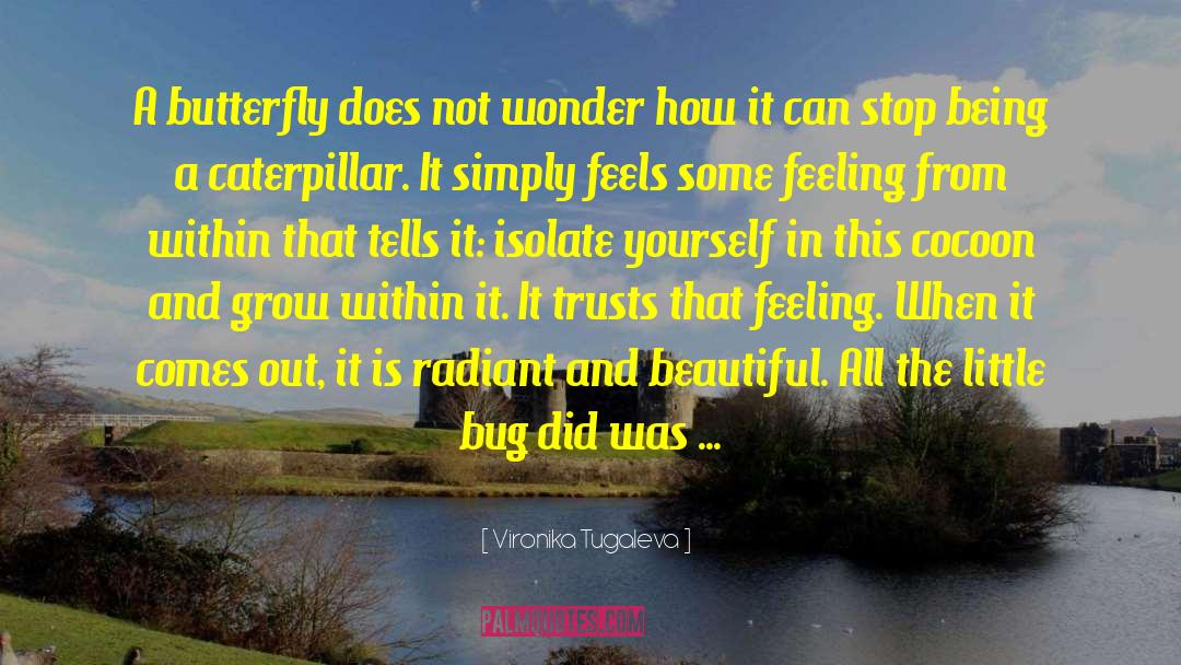 Vironika Tugaleva Quotes: A butterfly does not wonder