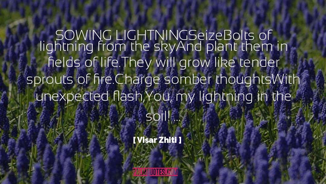 Visar Zhiti Quotes: SOWING LIGHTNING<br>Seize<br>Bolts of lightning from