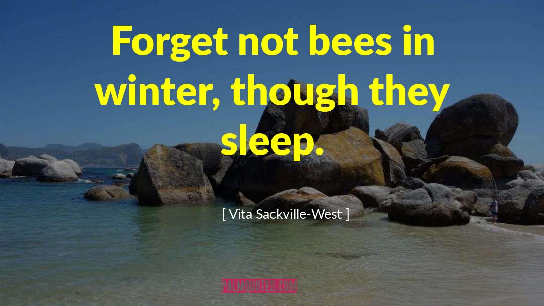Vita Sackville-West Quotes: Forget not bees in winter,