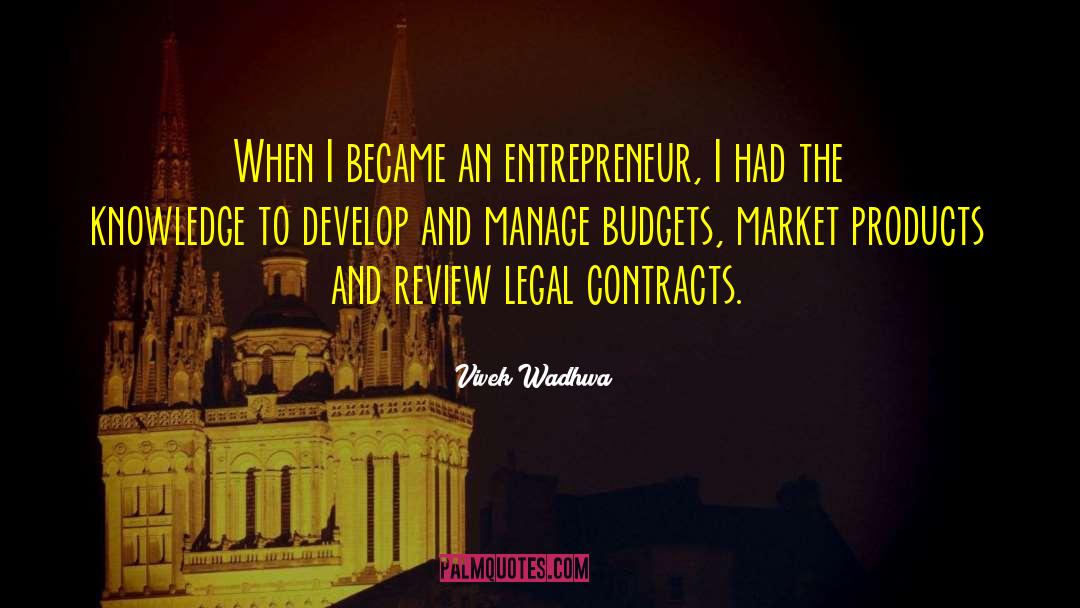 Vivek Wadhwa Quotes: When I became an entrepreneur,