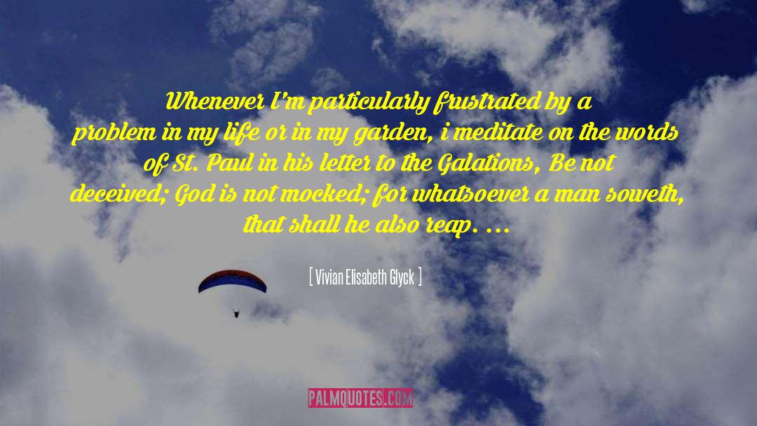 Vivian Elisabeth Glyck Quotes: Whenever I'm particularly frustrated by