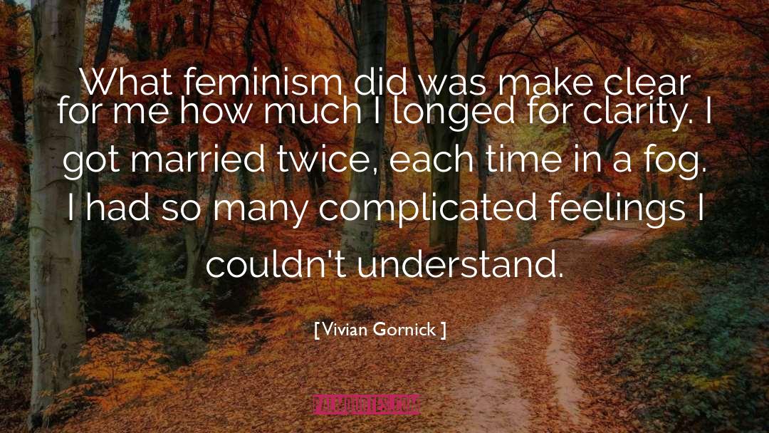 Vivian Gornick Quotes: What feminism did was make