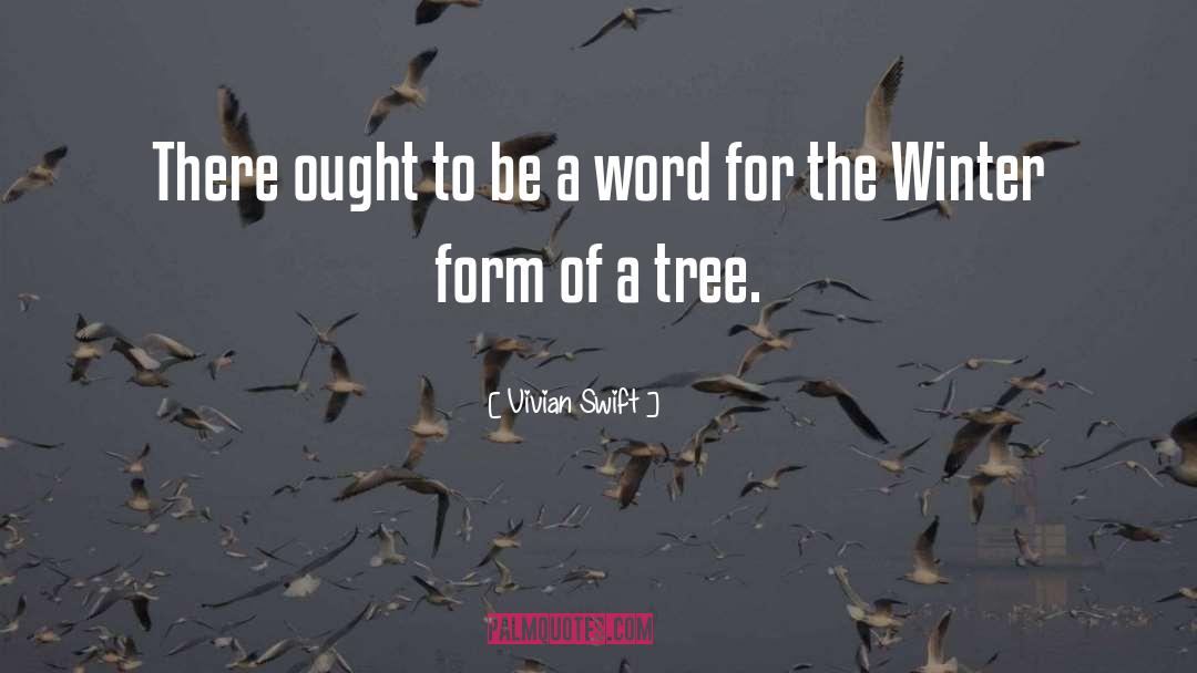 Vivian Swift Quotes: There ought to be a