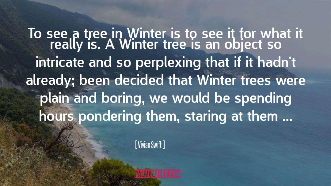 Vivian Swift Quotes: To see a tree in