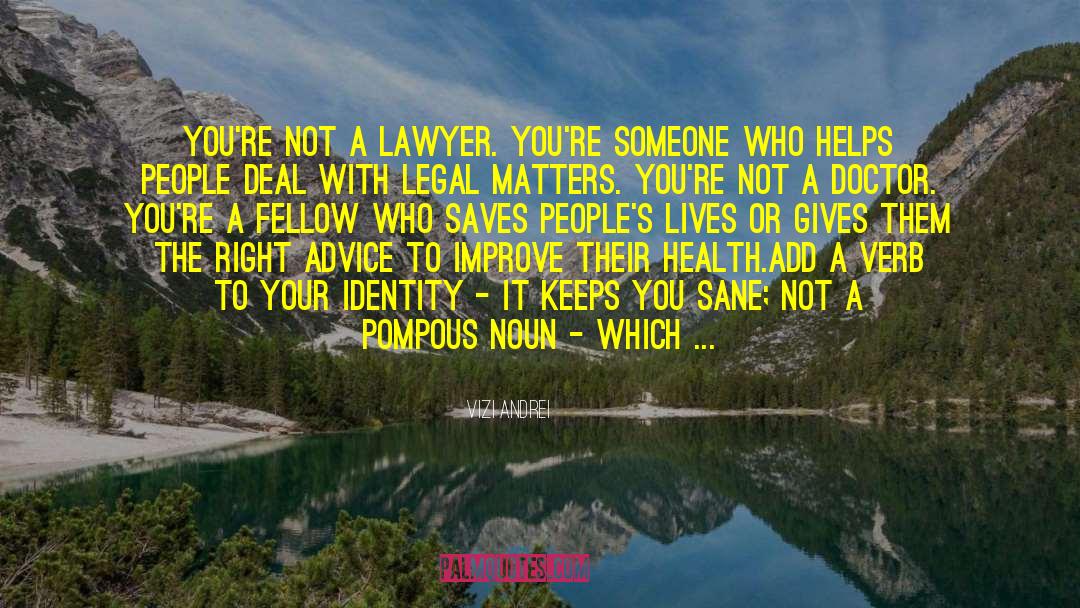 Vizi Andrei Quotes: You're not a lawyer. You're