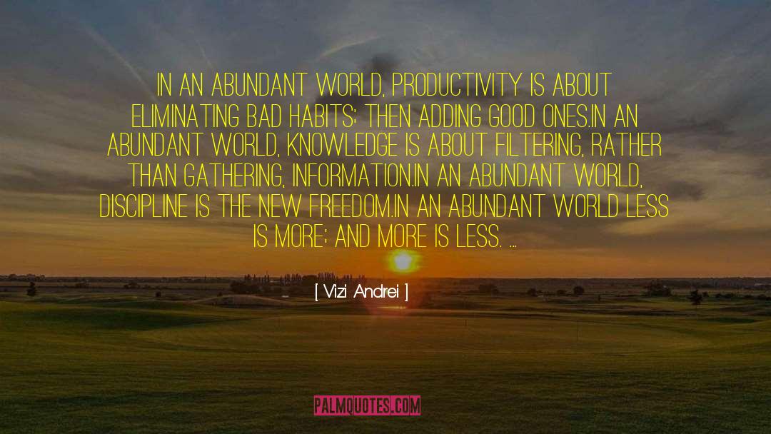 Vizi Andrei Quotes: In an abundant world, productivity