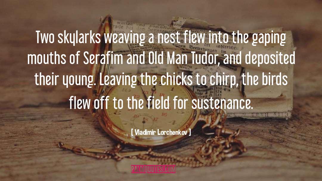 Vladimir Lorchenkov Quotes: Two skylarks weaving a nest