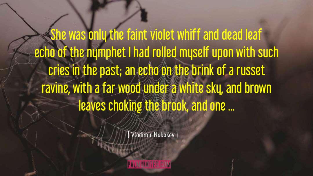 Vladimir Nabokov Quotes: She was only the faint