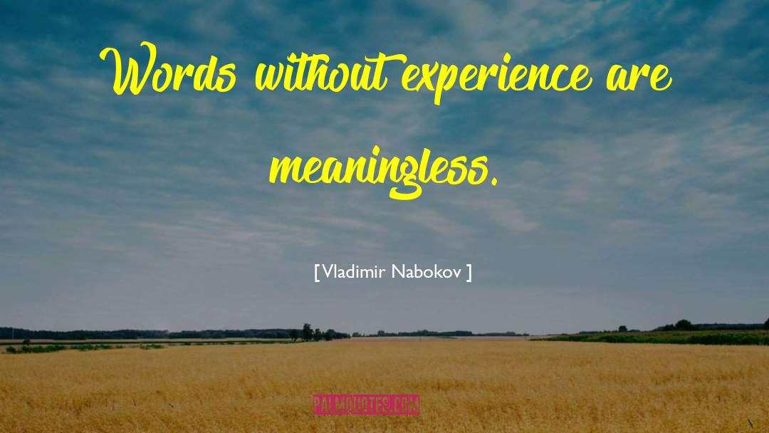 Vladimir Nabokov Quotes: Words without experience are meaningless.